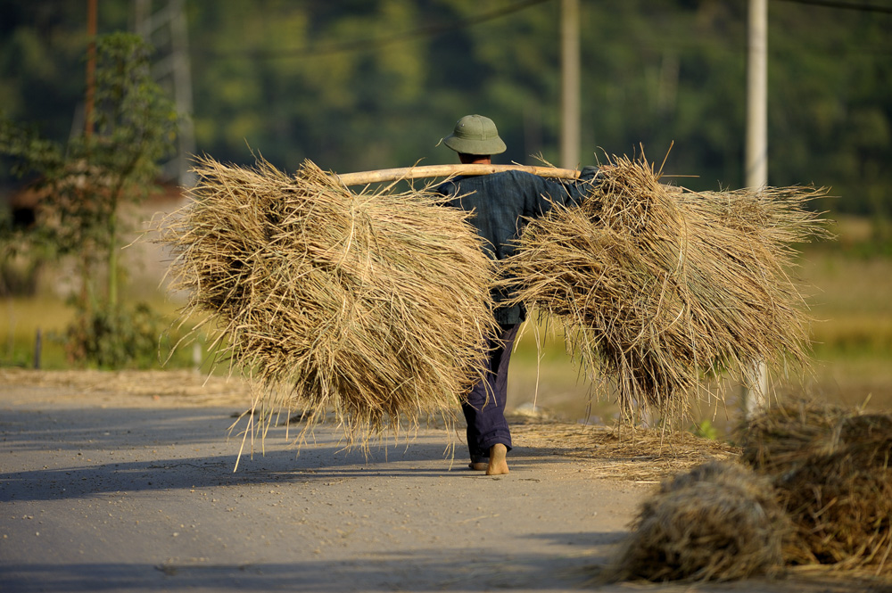 8. Platz Robert Seitz